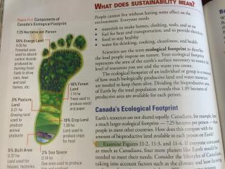 Archbishop O'Leary High School - Ecological Footprint