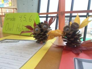 Owl Habitat and pinecone craft